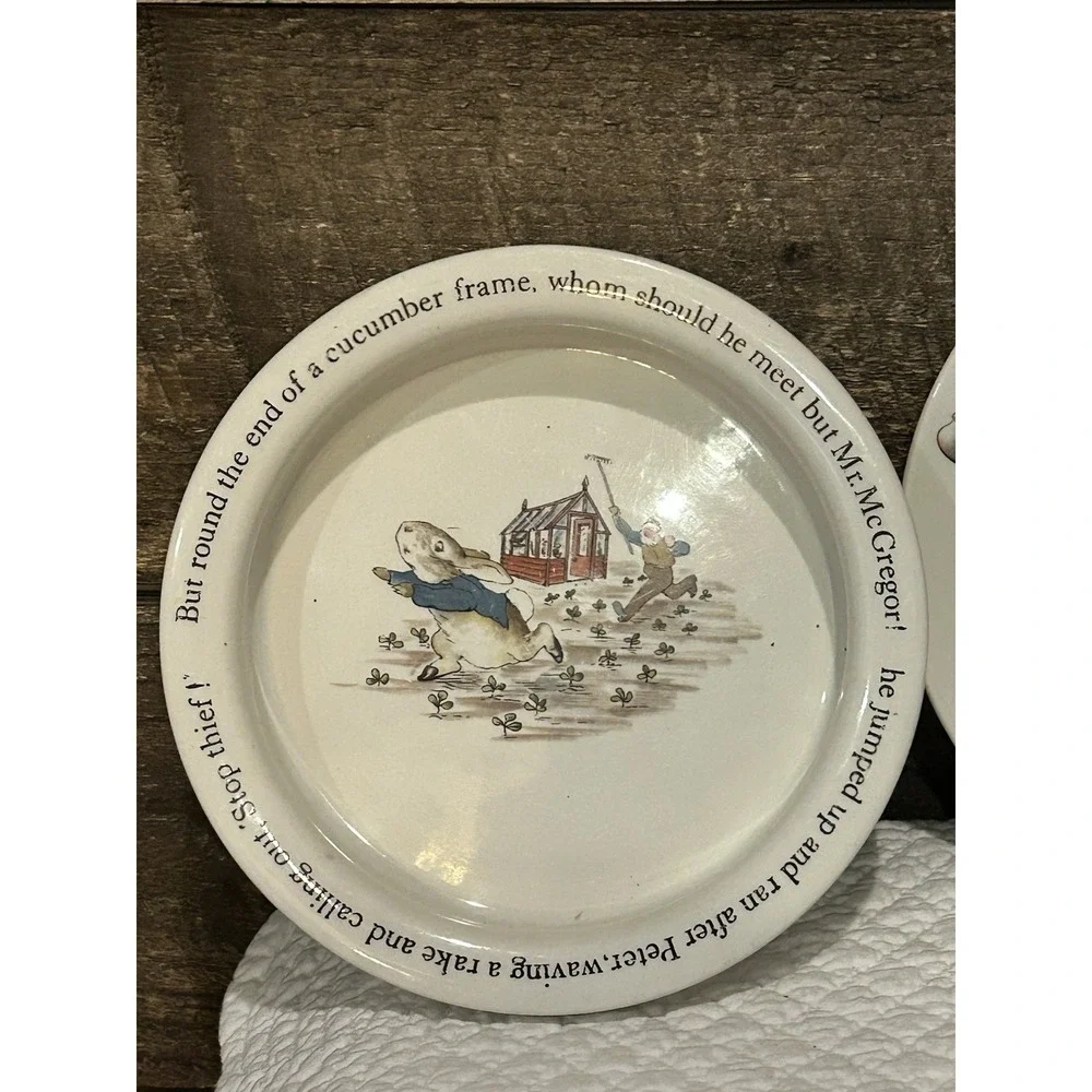 Vintage Set of 2 Wedgwood Beatrix Potter Peter Rabbit Plate & Porridge Bowl READ